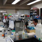 From left to right: Paula Castillo, Prati Bajracharya, Yunlong Yang, and Hyeogsun Kwon working in the molecular lab.